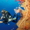 Scuba diver course