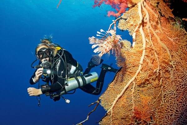 Scuba diver course