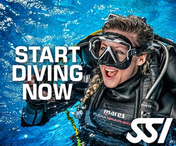Basic diver  COURSE