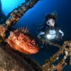Scuba diver course