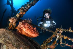 Scuba diver course