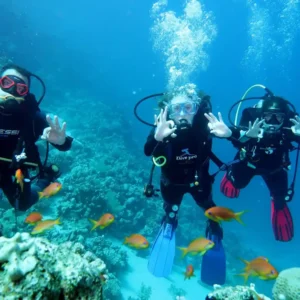 Openwater course (1)