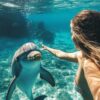Dolphin Tour in Kizimkazi