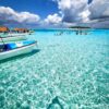 Half day private snorkeling & Dolphin  Mnemba Atoll