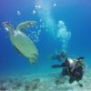 Create your Dive Plan