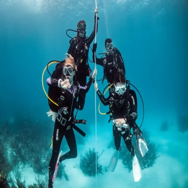 Openwater