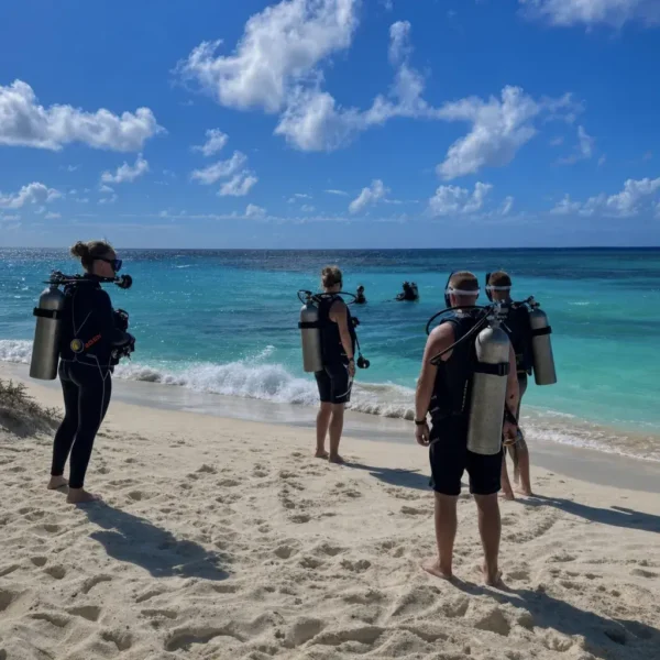 Diving North